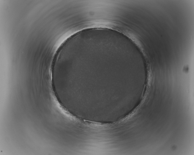 X0000111800936200907301206