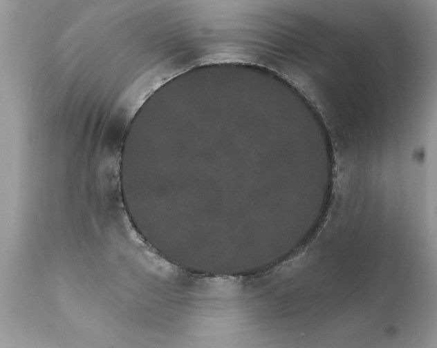 X0000111800937200907301206
