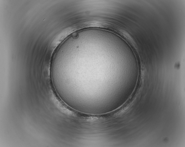 X0000111800938200907301206
