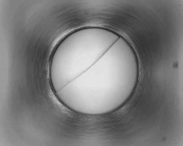 X0000111800939200907301206