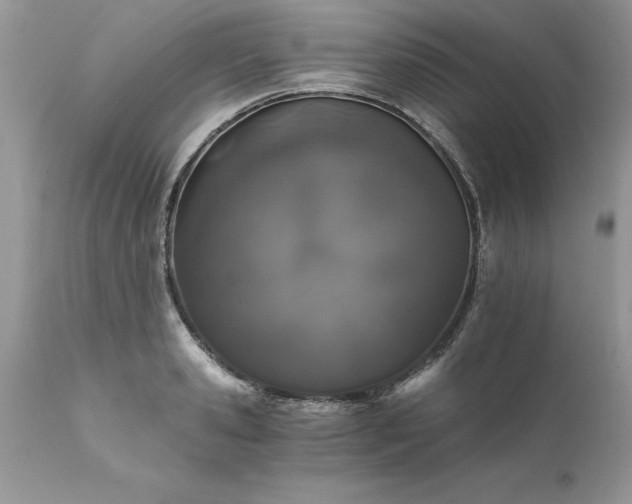 X0000111800941200907301206