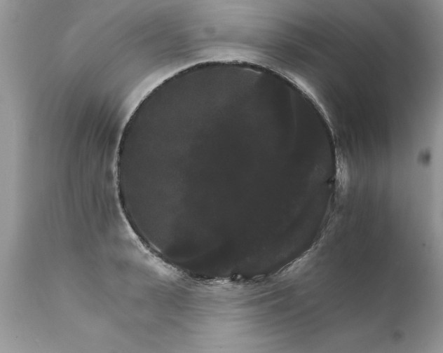 X0000111800943200907301206