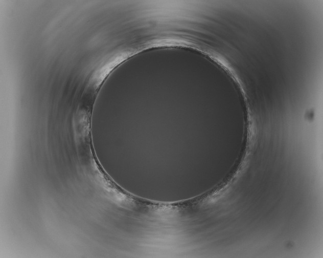 X0000111800945200907301206