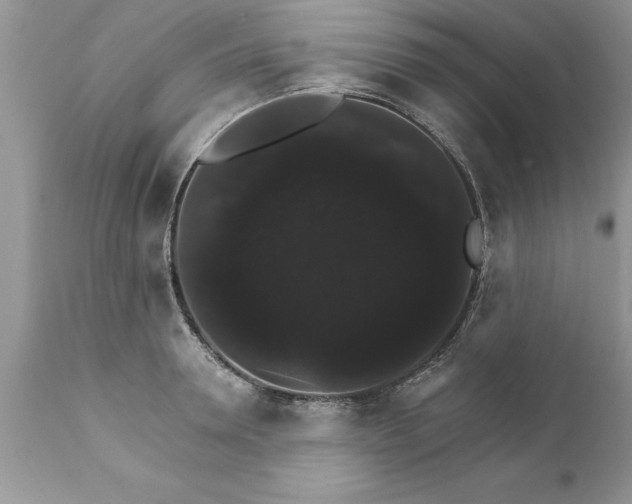 X0000111800946200907301206