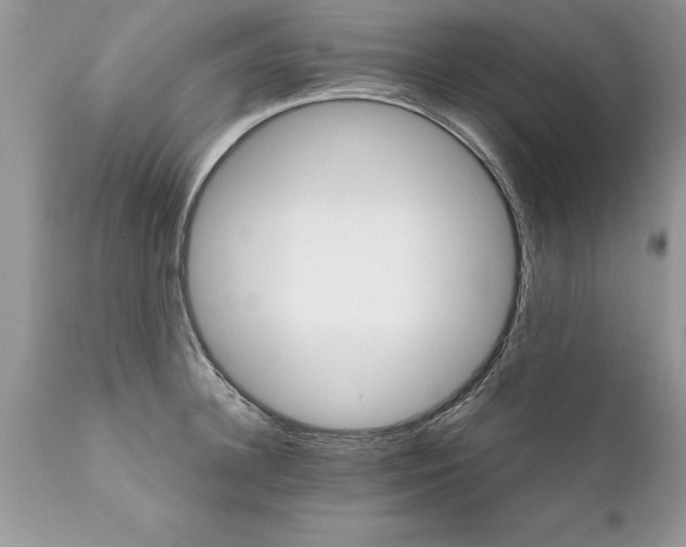 X0000111800948200907301206