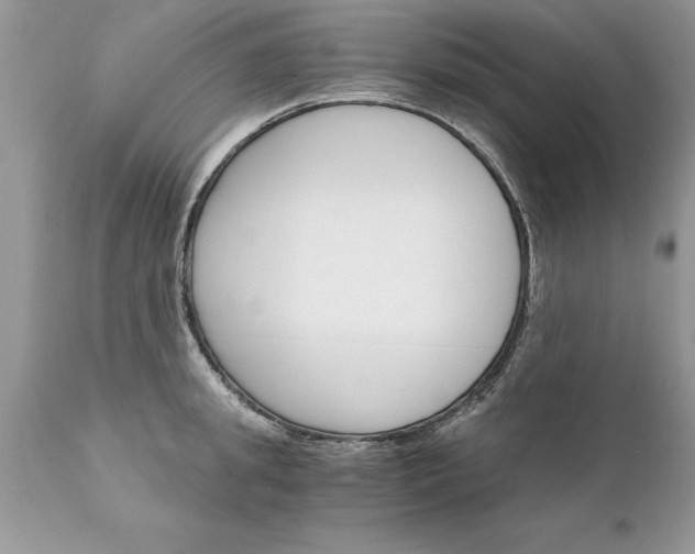 X0000111800949200907301206