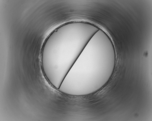 X0000111800951200907301206