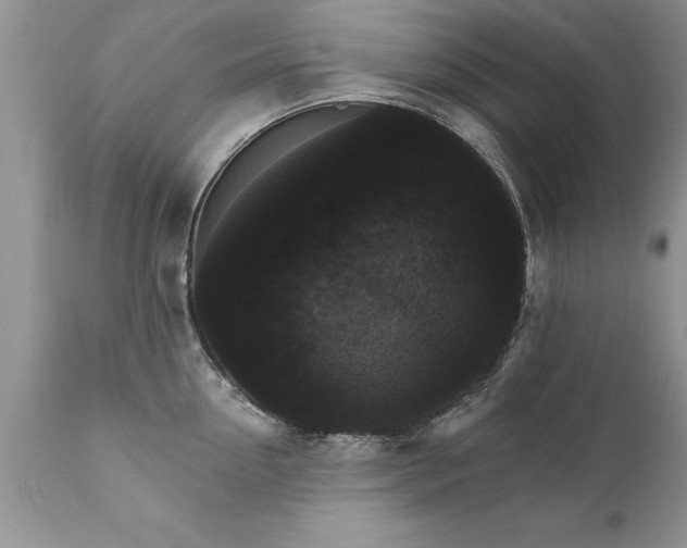 X0000111800954200907301206