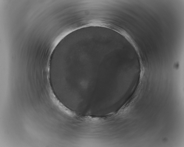 X0000111800955200907301206