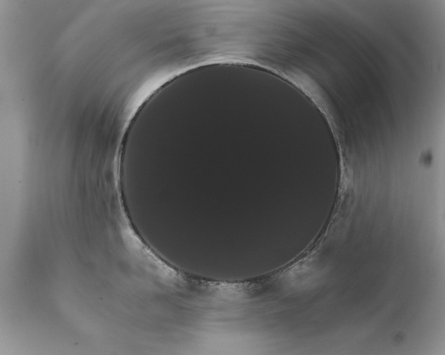 X0000111800958200907301206