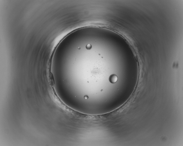 X0000111800960200907301206
