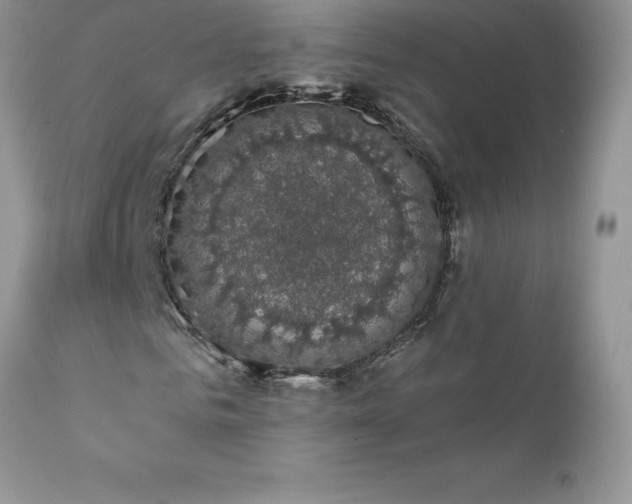X0000111800961200907301205