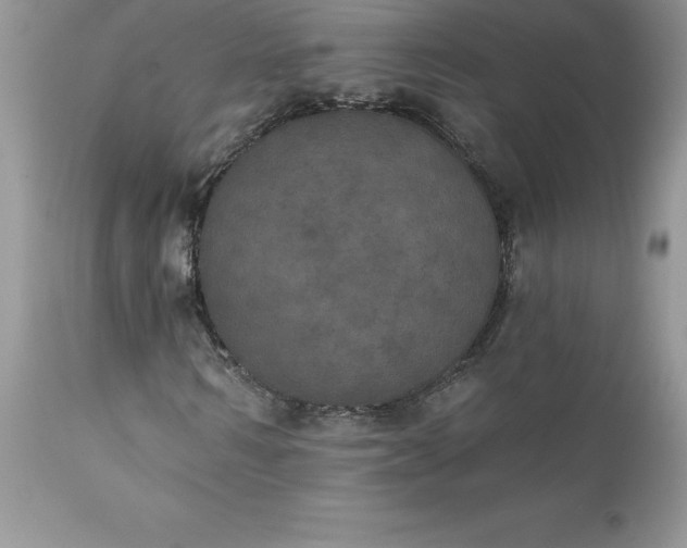 X0000111800962200907301205