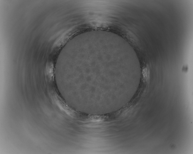 X0000111800963200907301205