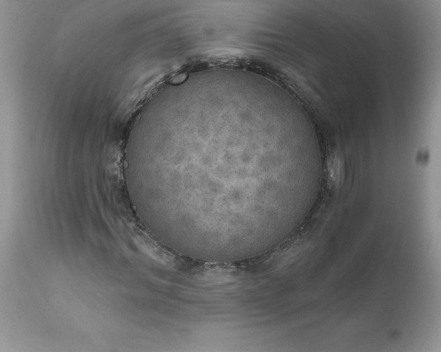 X0000111800964200907301205