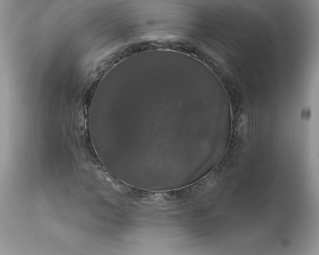 X0000111800966200907301205