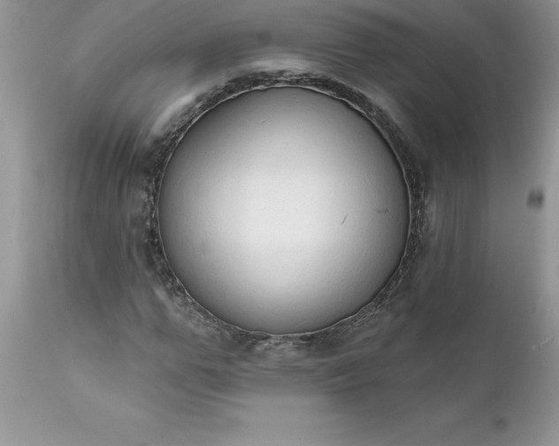 X0000111800967200907301205