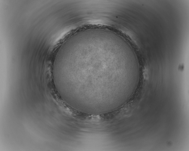X0000111800968200907301205