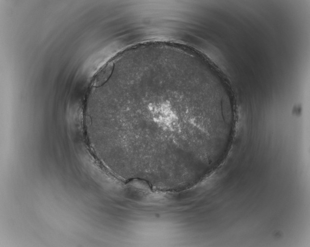 X0000111800969200907301205