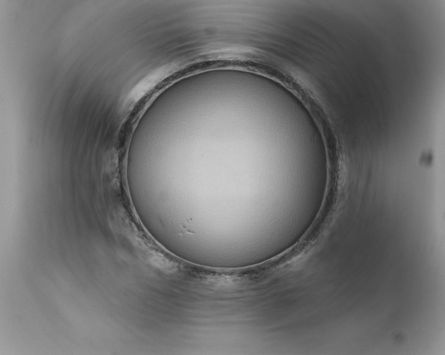 X0000111800970200907301205