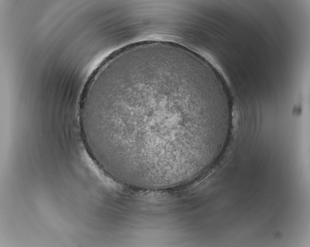 X0000111800972200907301205
