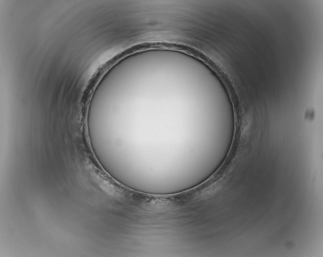 X0000111800974200907301205