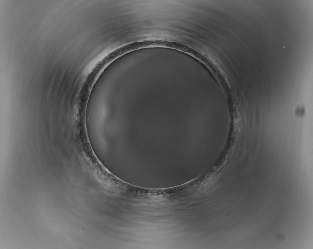X0000111800975200907301205