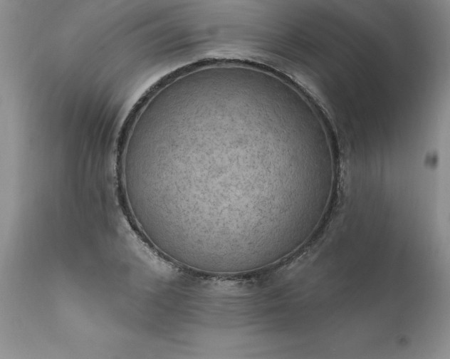 X0000111800976200907301205