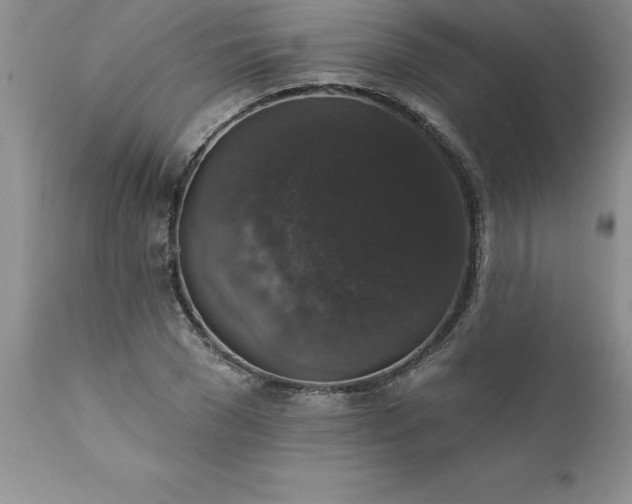 X0000111800977200907301205