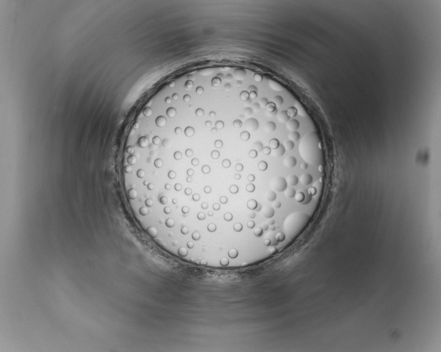 X0000111800978200907301205