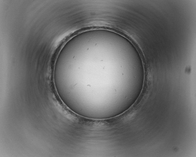 X0000111800979200907301205
