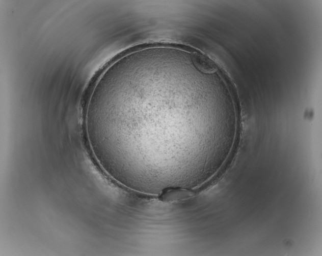 X0000111800981200907301205