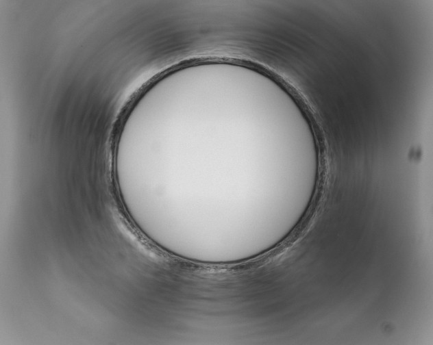 X0000111800982200907301205