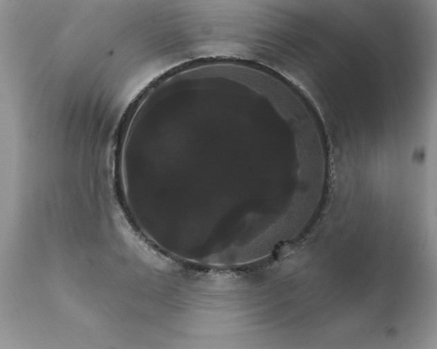 X0000111800983200907301205
