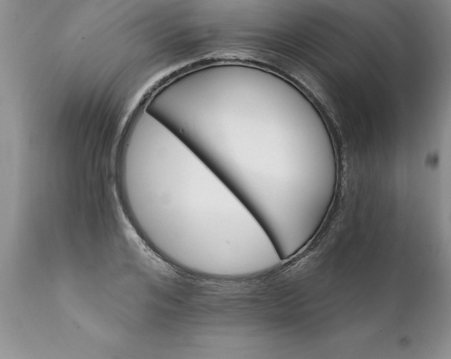 X0000111800984200907301205