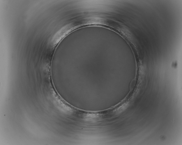 X0000111800985200907301205
