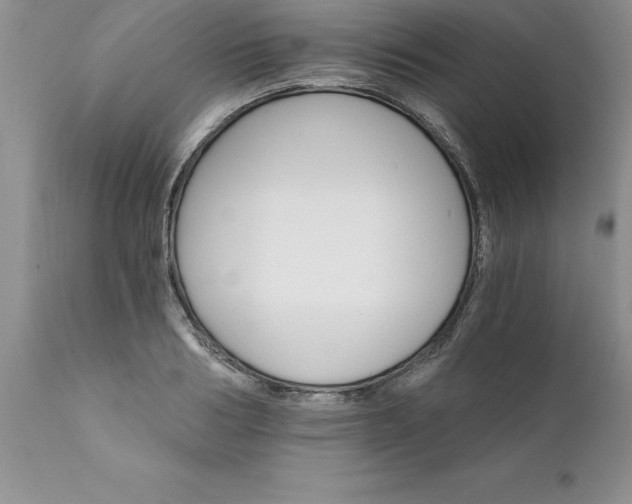 X0000111800986200907301205