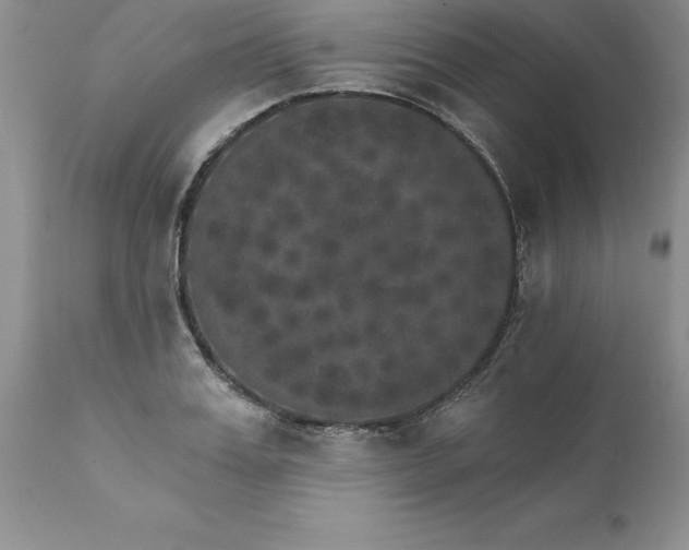 X0000111800987200907301205