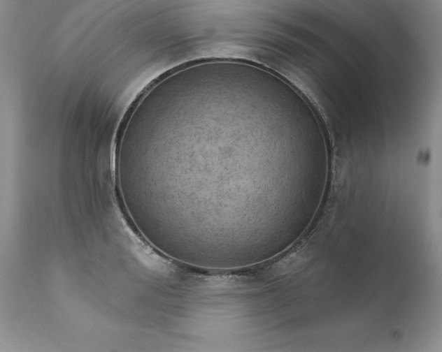 X0000111800988200907301205