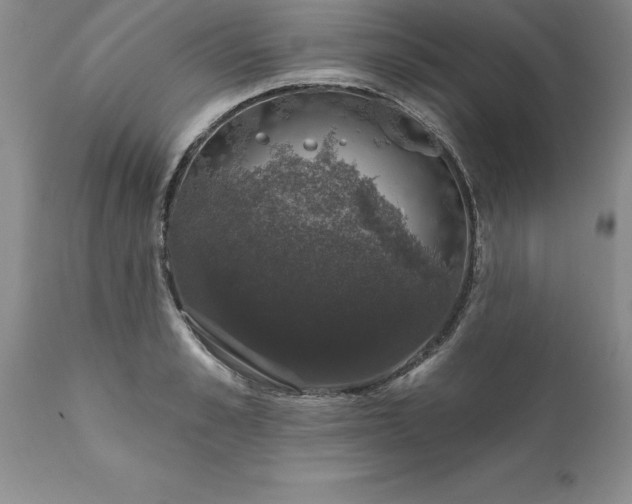 X0000111800989200907301205