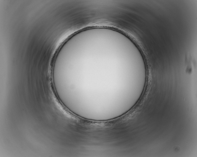 X0000111800990200907301205