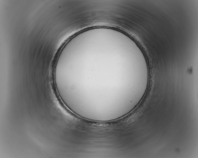 X0000111800991200907301205