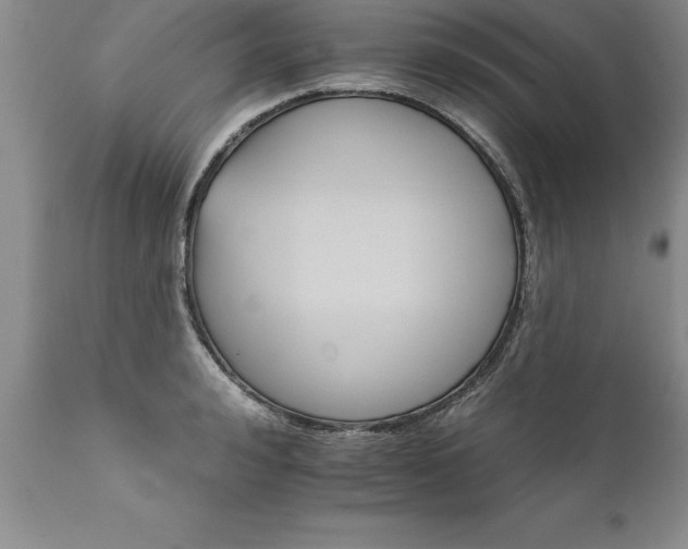X0000111800992200907301205