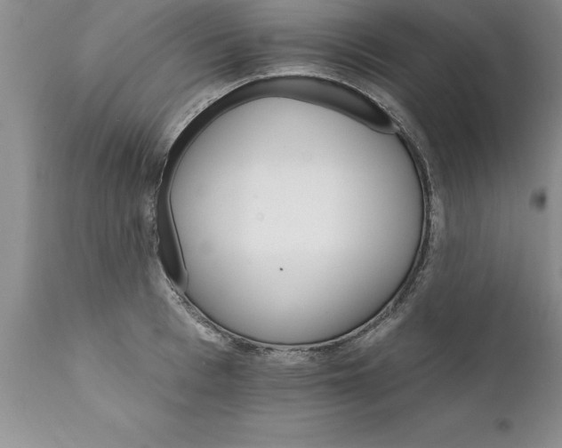 X0000111800993200907301205