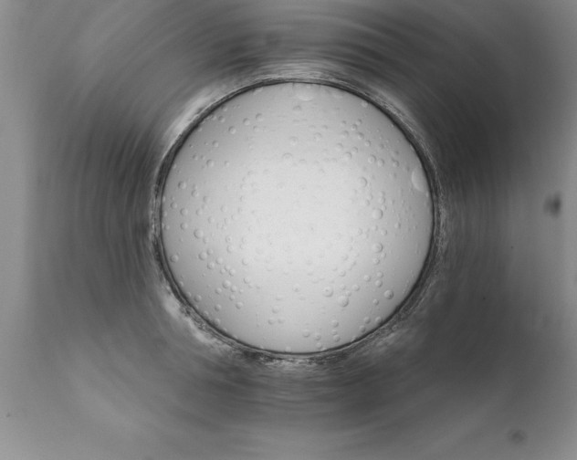 X0000111800994200907301205