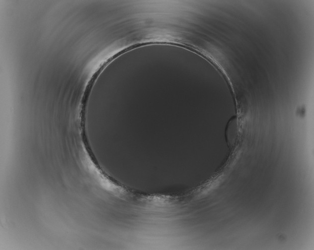 X0000111800995200907301205