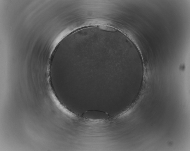 X0000111800997200907301205