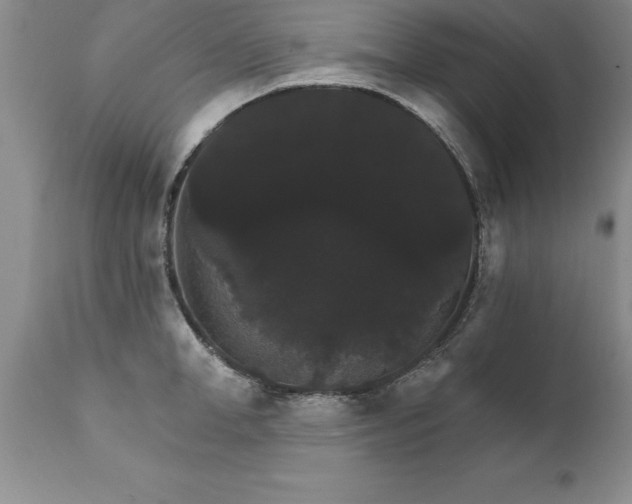 X0000111800998200907301205