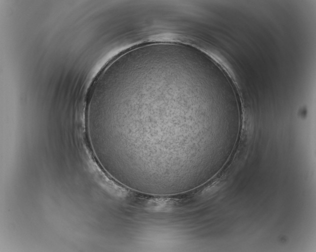 X0000111801000200907301205