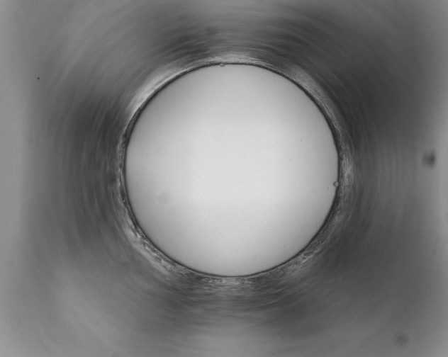 X0000111801002200907301205